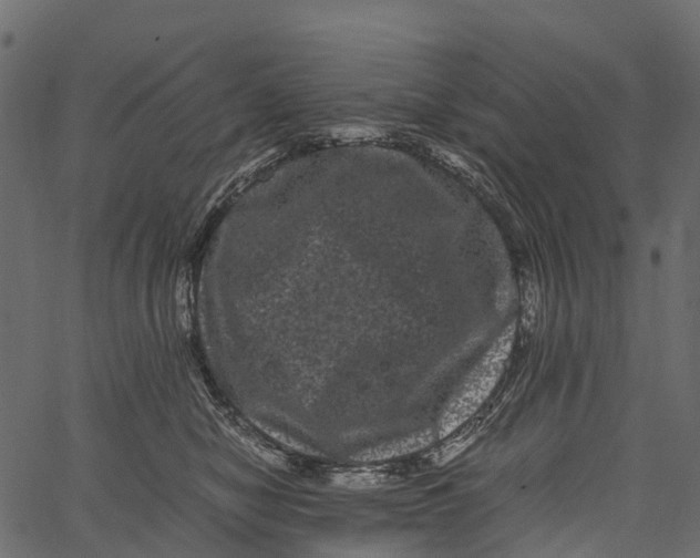 X0000062630470200601111104