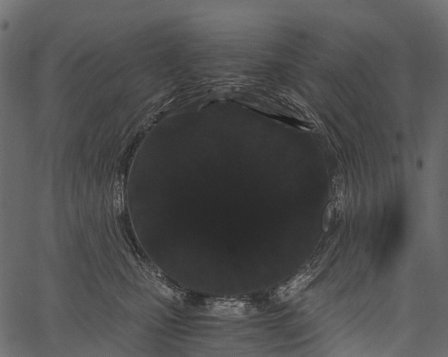 X0000062630471200601111104