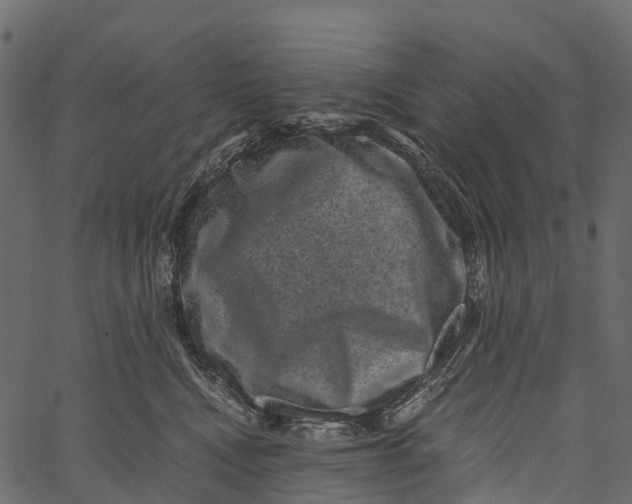 X0000062630472200601111104