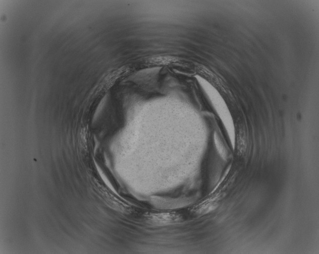 X0000062630473200601111104