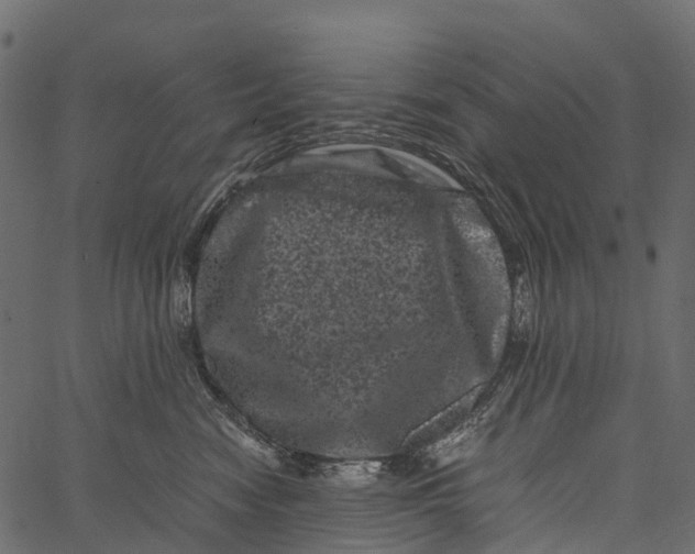 X0000062630474200601111104