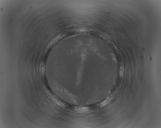 X0000062630476200601111105