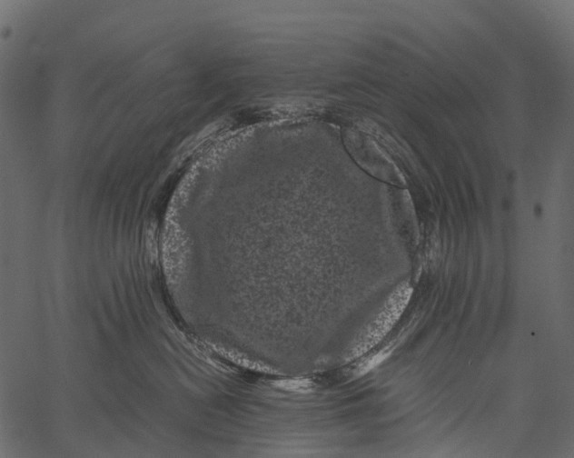 X0000062630478200601111105