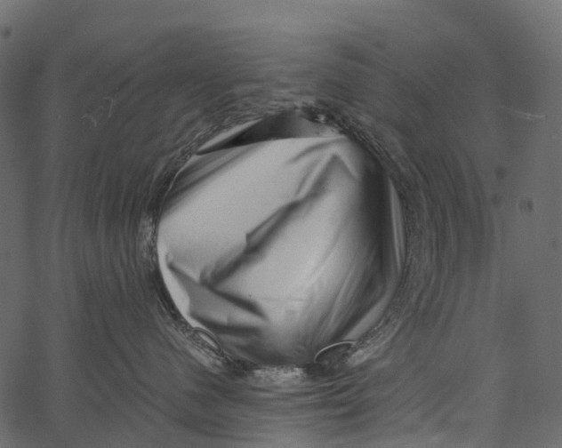 X0000062630480200601111105