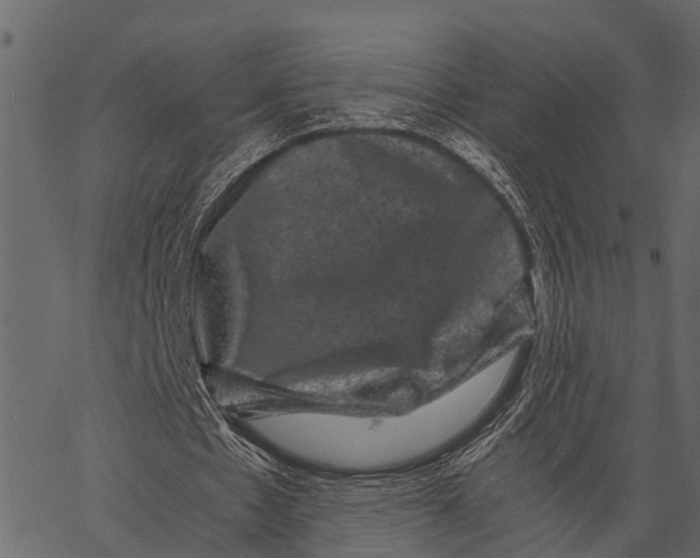 X0000062630481200601111104