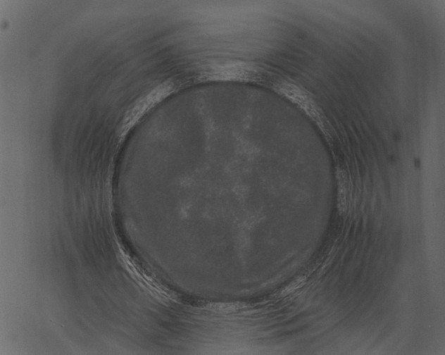 X0000062630482200601111104