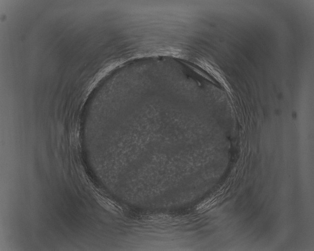 X0000062630483200601111104