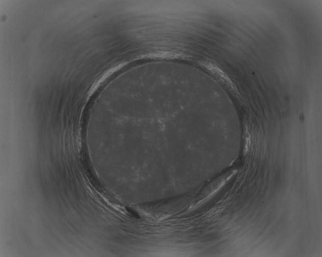 X0000062630484200601111104