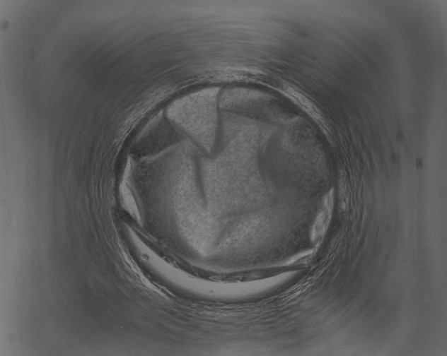 X0000062630485200601111104