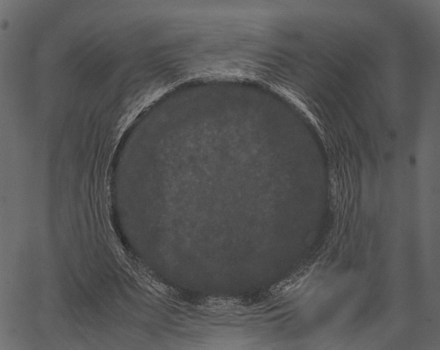 X0000062630487200601111104