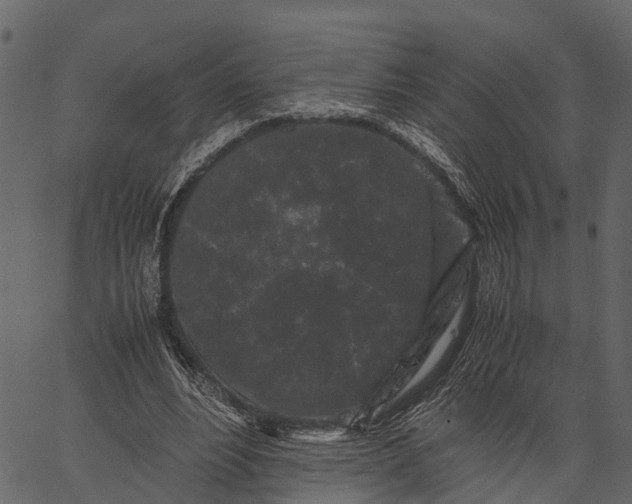 X0000062630488200601111104