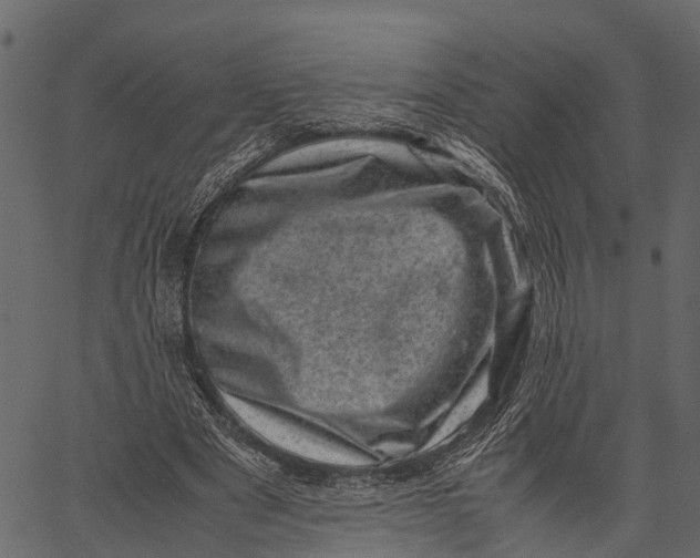 X0000062630489200601111104