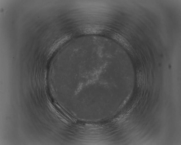 X0000062630490200601111104