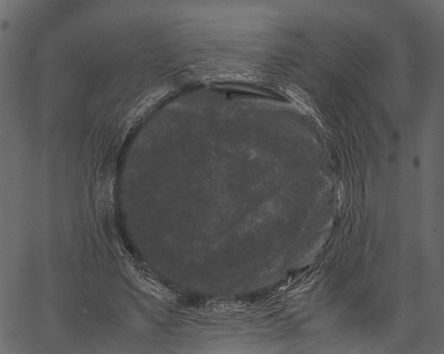 X0000062630491200601111104