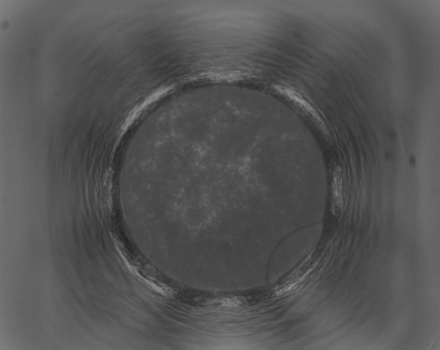 X0000062630492200601111104