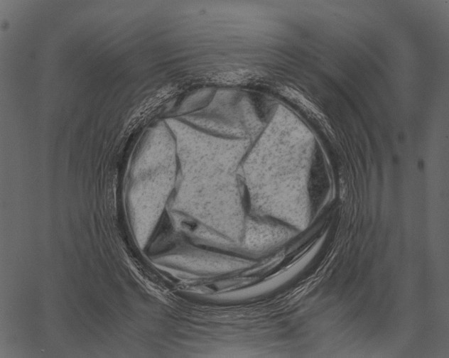 X0000062630493200601111104