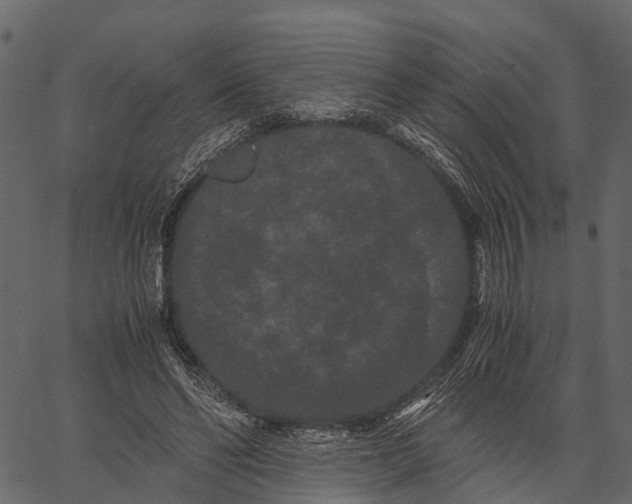 X0000062630494200601111104