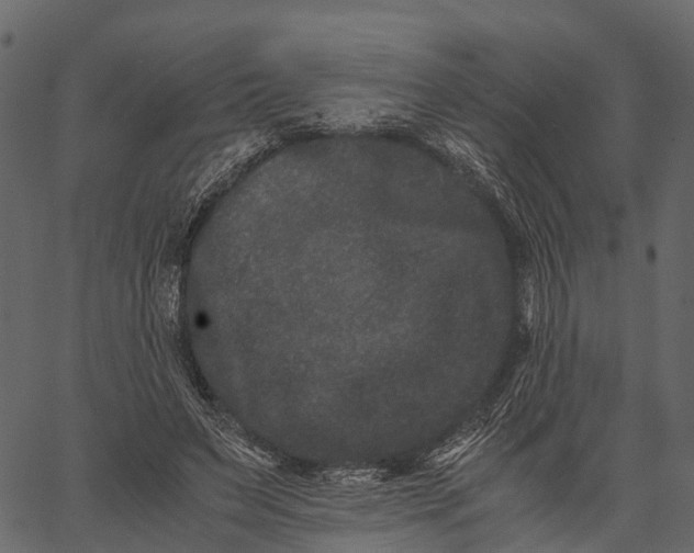 X0000062630495200601111104