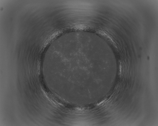 X0000062630496200601111104