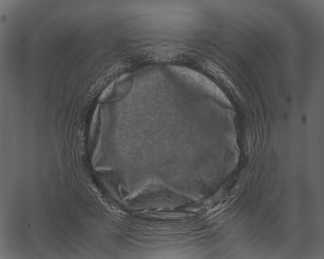 X0000062630497200601111104