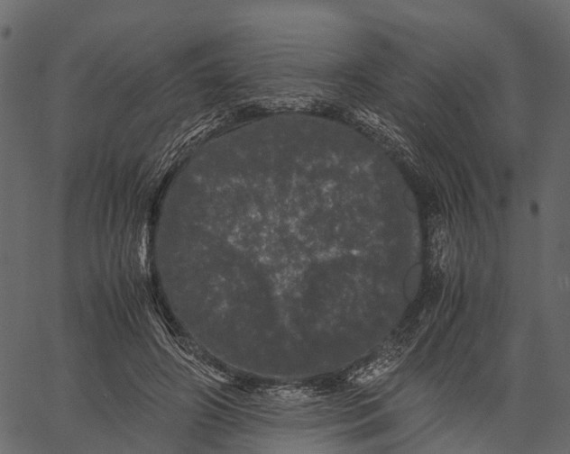 X0000062630498200601111104