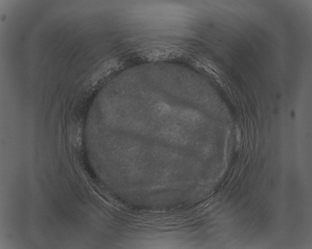 X0000062630499200601111104