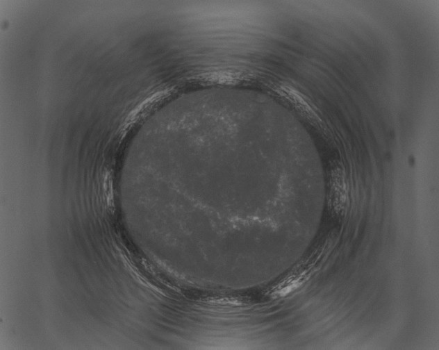 X0000062630500200601111103