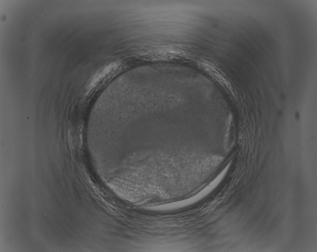 X0000062630501200601111103