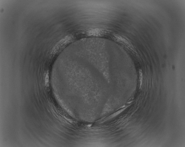 X0000062630502200601111103