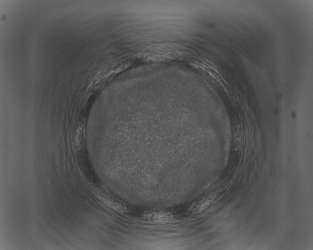 X0000062630503200601111103