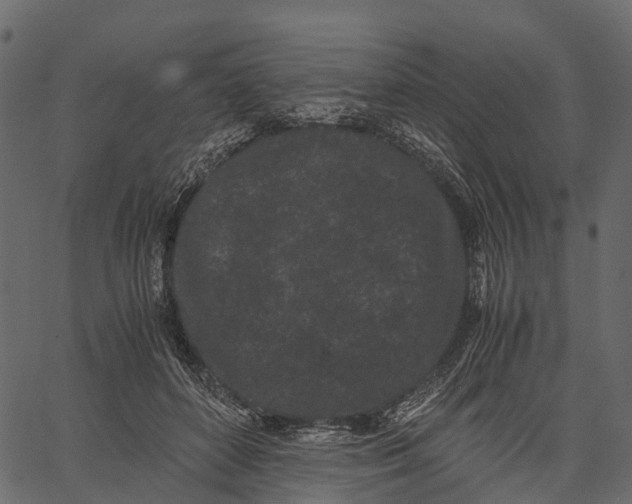 X0000062630504200601111103