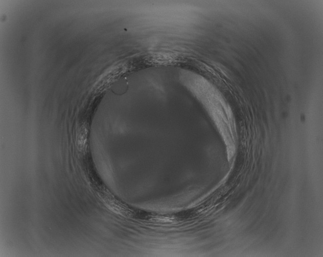 X0000062630507200601111103