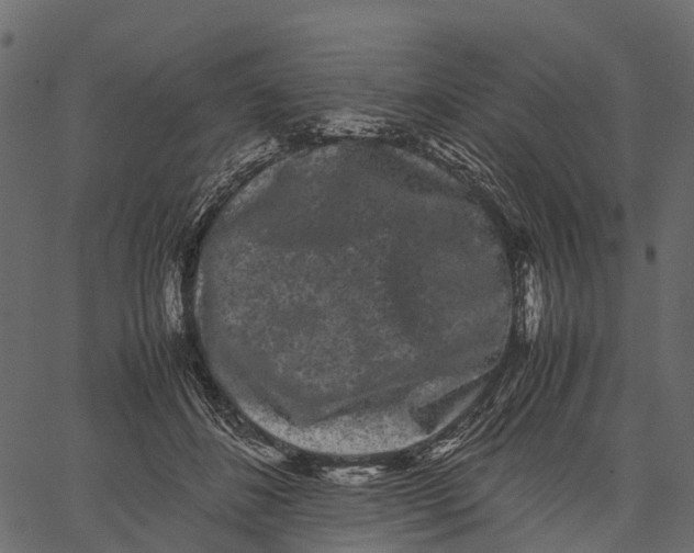 X0000062630508200601111103