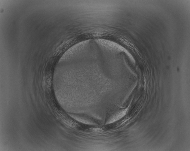 X0000062630509200601111103