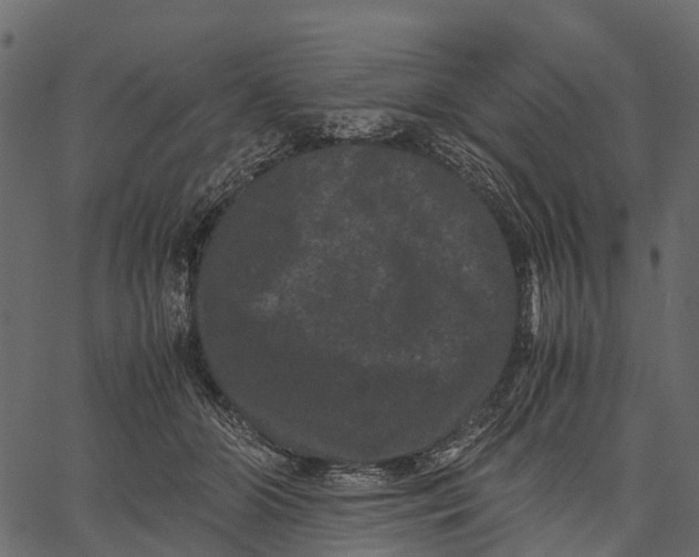 X0000062630510200601111103