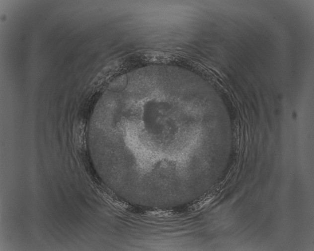 X0000062630511200601111103