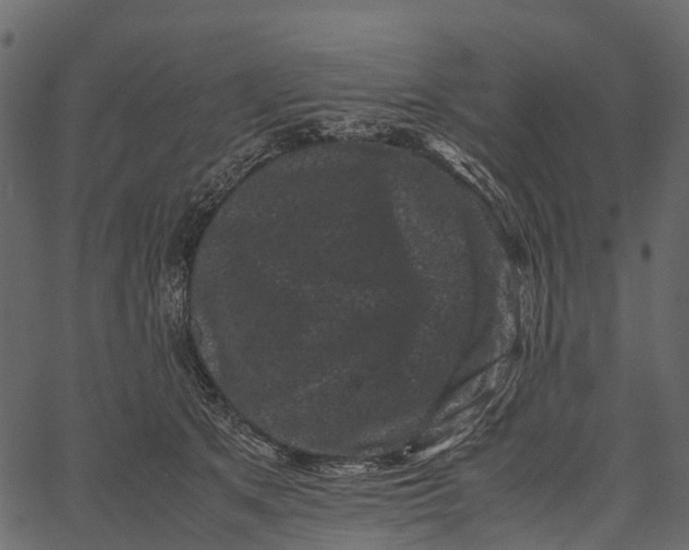 X0000062630513200601111103