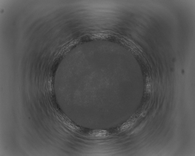 X0000062630514200601111103