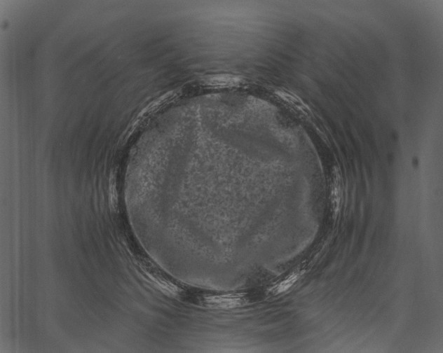 X0000062630516200601111103