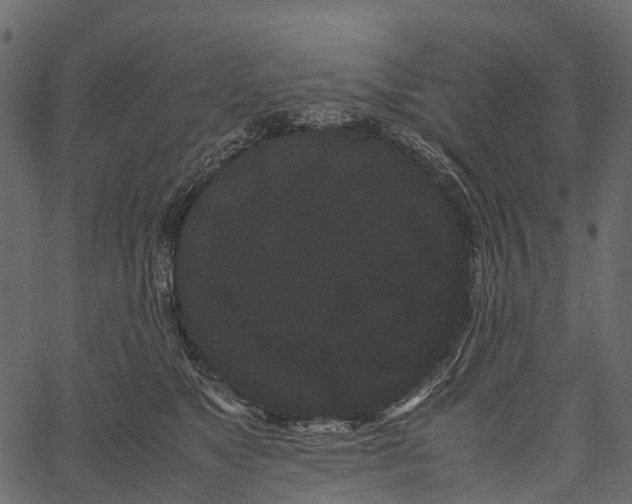 X0000062630517200601111103