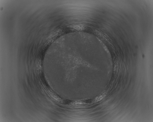 X0000062630518200601111103