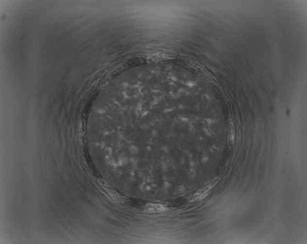 X0000062630519200601111103