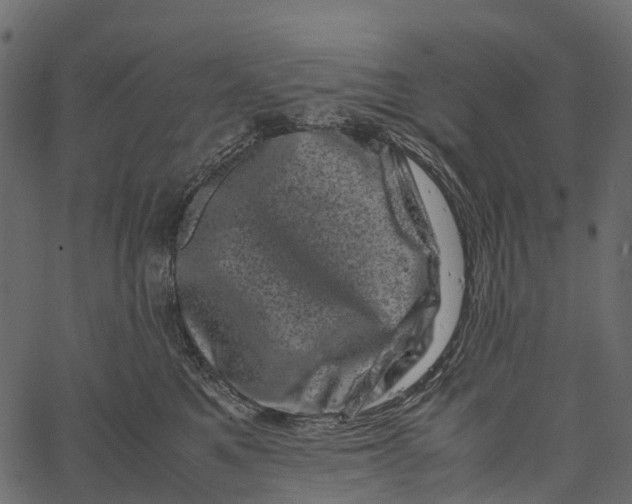 X0000062630521200601111103