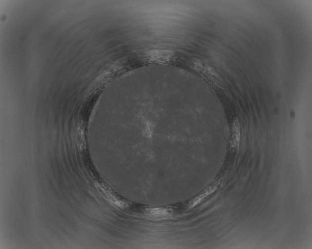 X0000062630522200601111103