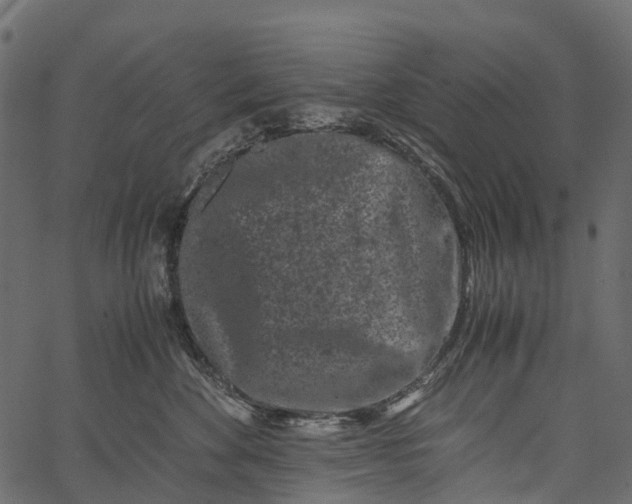 X0000062630524200601111103