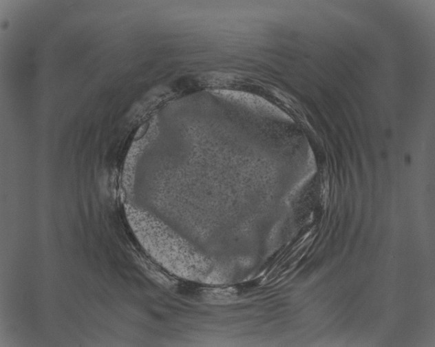 X0000062630525200601111103