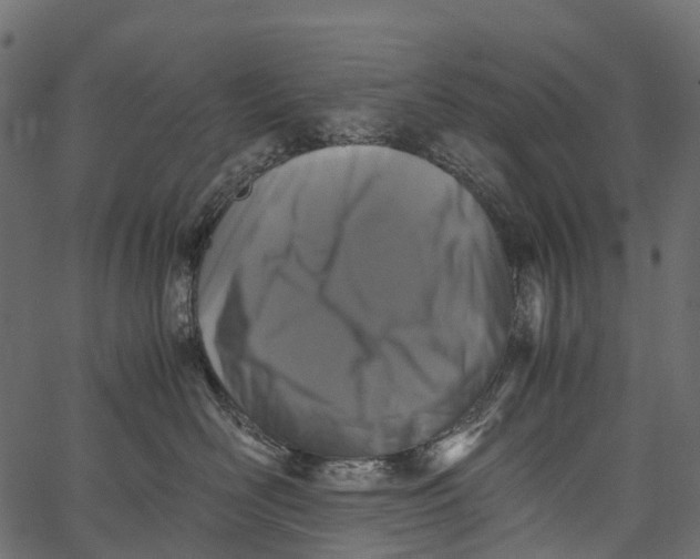 X0000062630526200601111103