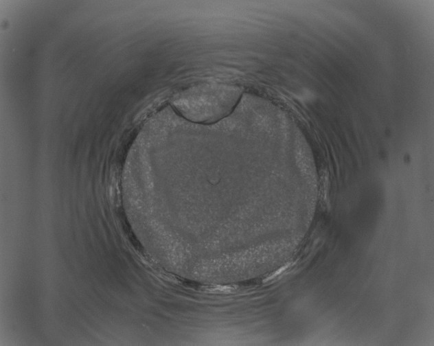 X0000062630527200601111103