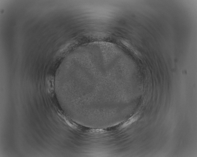 X0000062630528200601111103