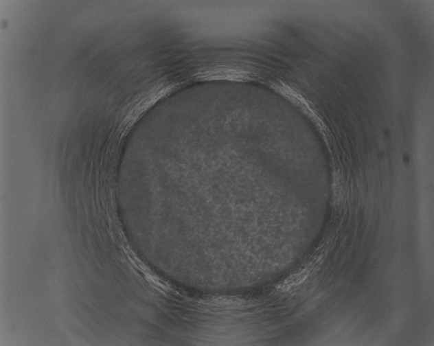 X0000062630529200601111102